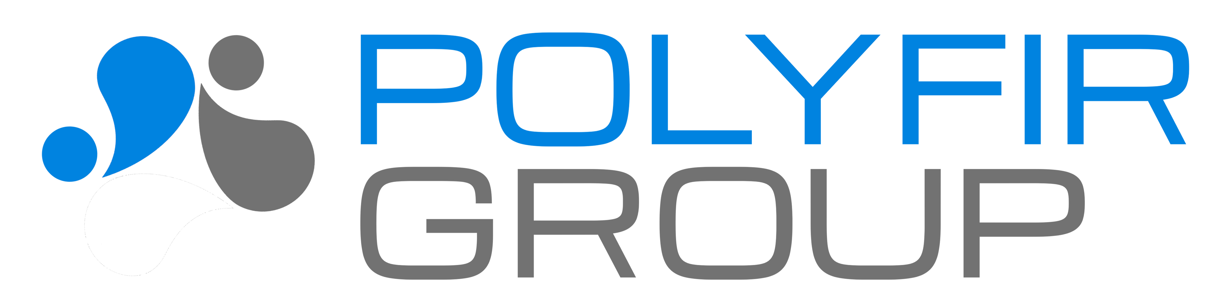 Polyfir Group Logo