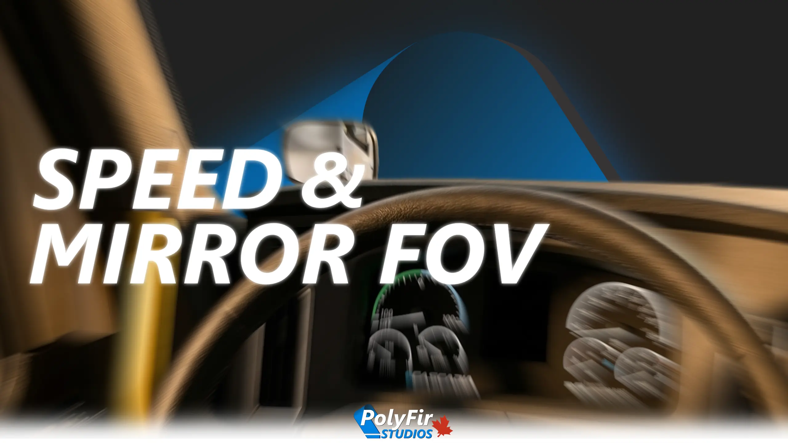 Speed & Mirror FOV